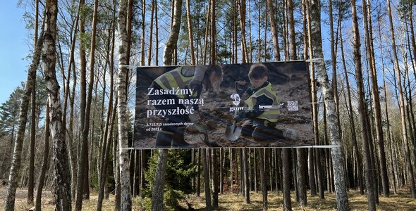 Razem dla lasów – przedstawiciele Filii PK w międzynarodowej akcji sadzenia drzew