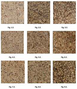 21.01.2026 Wzór Przemysłowy