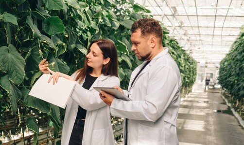 Zaproszenie do Konkursu Agroabsolwent 2025