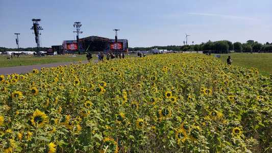 Politechnika Koszalińska na Pol’and’Rock Festival