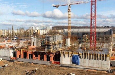 Cognitarium wyrasta na wiosnę