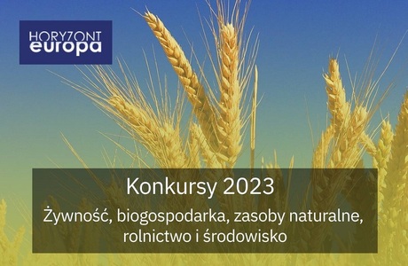 Konkursy 2023 w klastrze 6 – Żywność, biogospodarka, zasoby naturalne, rolnictwo i środowisko